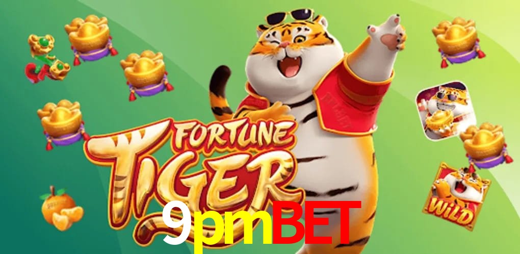 Experiência VIP 9pmbet